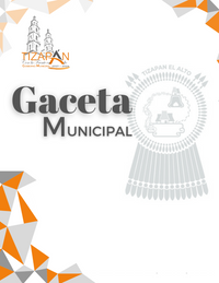 GACETA MUNICIPAL NO. 1